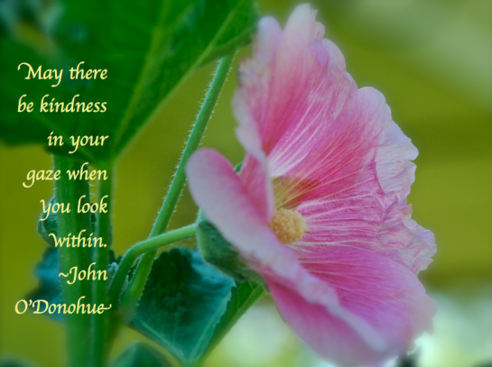 Screen Shot 2018-05-08 at 10.53.55 PM.png