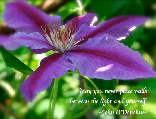 Screen Shot 2018-05-08 at 10.57.24 PM.png