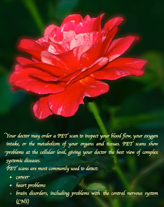 Screen Shot 2018-05-08 at 9.21.04 PM.png