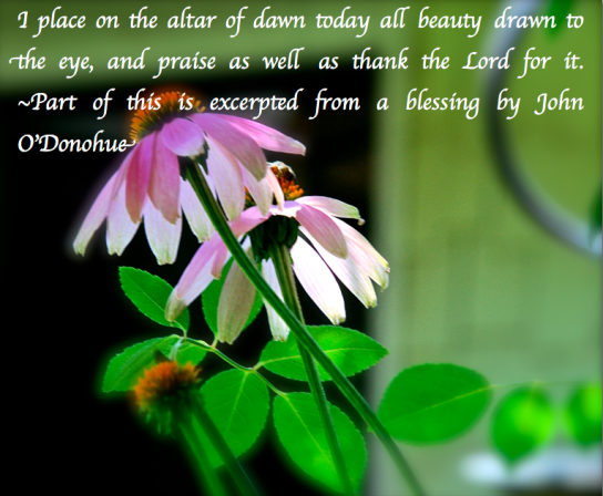 Screen Shot 2018-05-12 at 11.52.40 PM.png