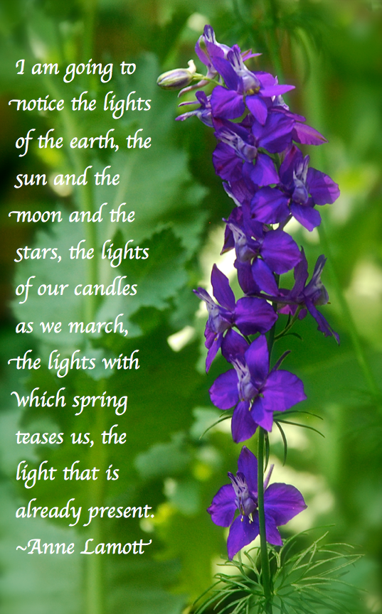 Screen Shot 2018-05-12 at 11.57.37 PM.png