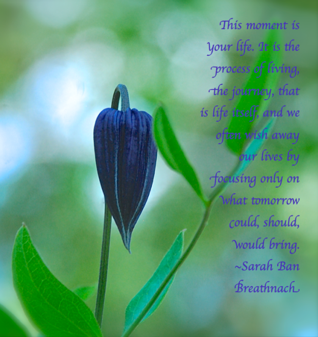 Screen Shot 2018-05-13 at 11.50.02 PM.png