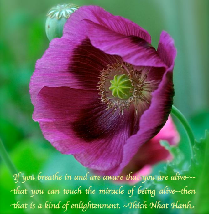 Screen Shot 2018-05-13 at 12.09.21 AM.png