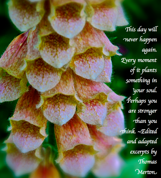 Screen Shot 2018-05-13 at 12.18.25 AM.png