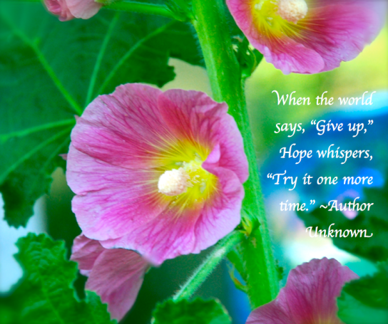 Screen Shot 2018-05-17 at 5.36.01 PM.png