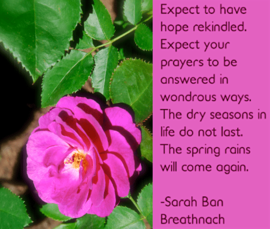 Screen Shot 2018-05-17 at 7.02.19 PM.png