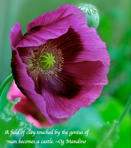 Screen Shot 2018-05-17 at 7.30.26 PM.png