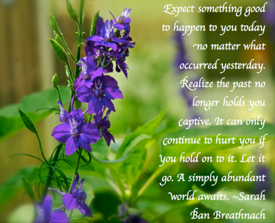 Screen Shot 2018-05-17 at 7.35.43 PM.png