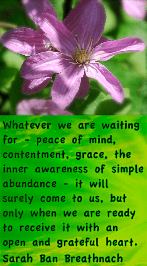 Screen Shot 2018-05-17 at 7.47.27 PM.png