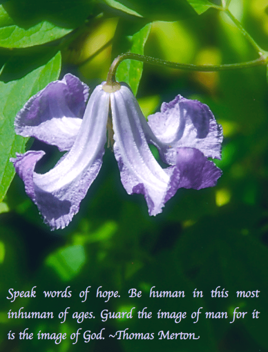 Screen Shot 2018-05-19 at 9.45.06 PM.png