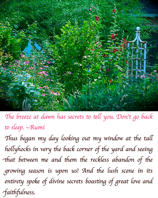 Screen Shot 2018-05-20 at 11.03.31 PM.png