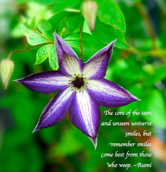 Screen Shot 2018-05-20 at 11.10.19 PM.png