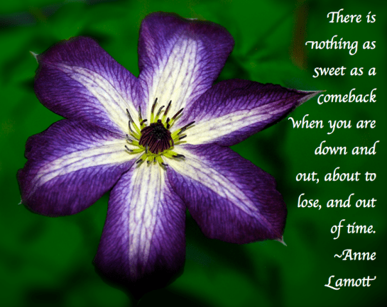 Screen Shot 2018-05-21 at 10.00.01 PM.png