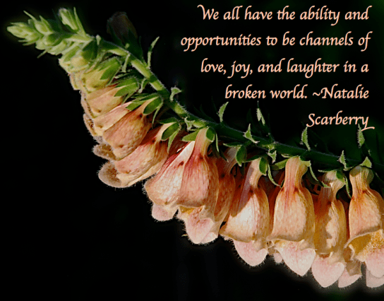 Screen Shot 2018-05-21 at 10.07.29 PM.png