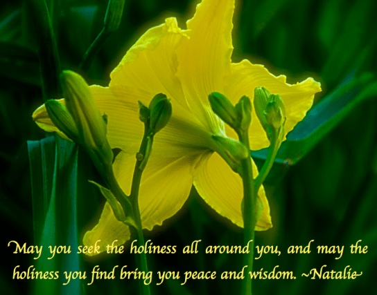 Screen Shot 2018-05-21 at 10.13.25 PM.png