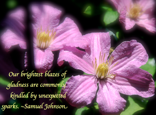 Screen Shot 2018-05-21 at 10.16.52 PM.png