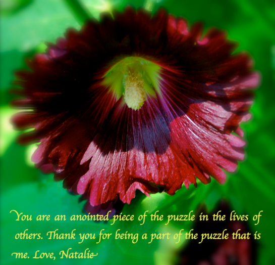 Screen Shot 2018-05-21 at 10.24.40 PM.png