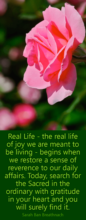 Screen Shot 2018-05-22 at 10.29.53 PM.png