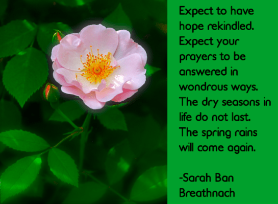 Screen Shot 2018-05-22 at 10.32.16 PM.png