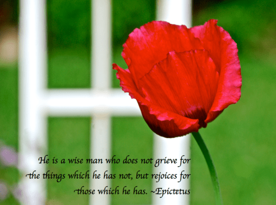 Screen Shot 2018-05-22 at 10.37.25 PM.png