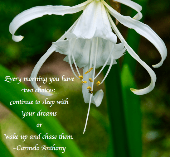 Screen Shot 2018-05-22 at 10.43.11 PM.png