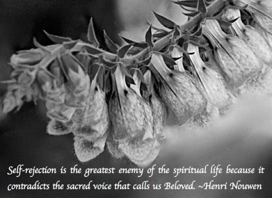 Screen Shot 2018-05-22 at 9.18.07 PM.png