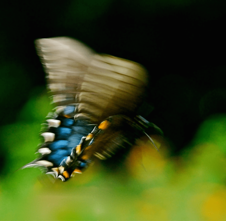 Screen Shot 2018-05-23 at 11.11.11 PM.png