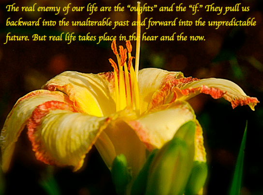 Screen Shot 2018-05-24 at 10.36.52 PM.png