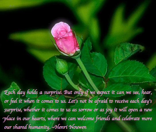 Screen Shot 2018-05-24 at 10.42.02 PM.png