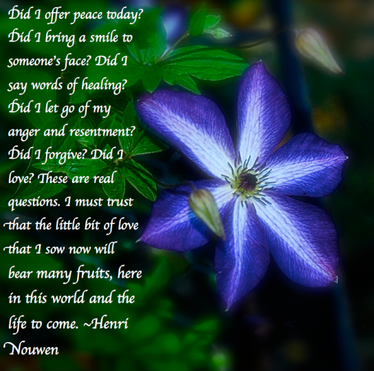 Screen Shot 2018-05-24 at 10.45.58 PM.png