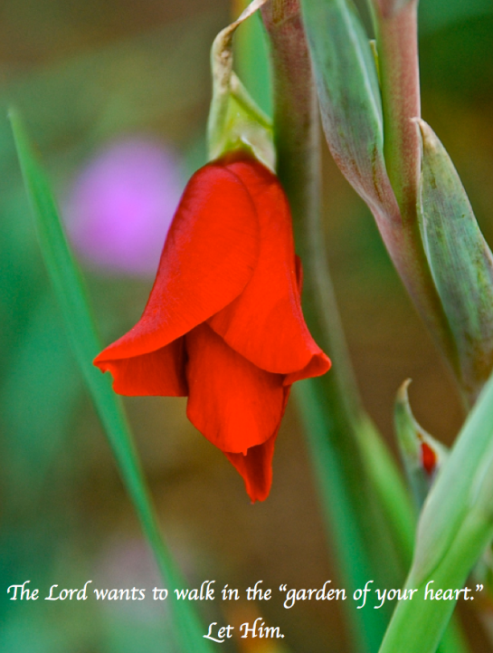 Screen Shot 2018-05-26 at 10.54.15 PM.png