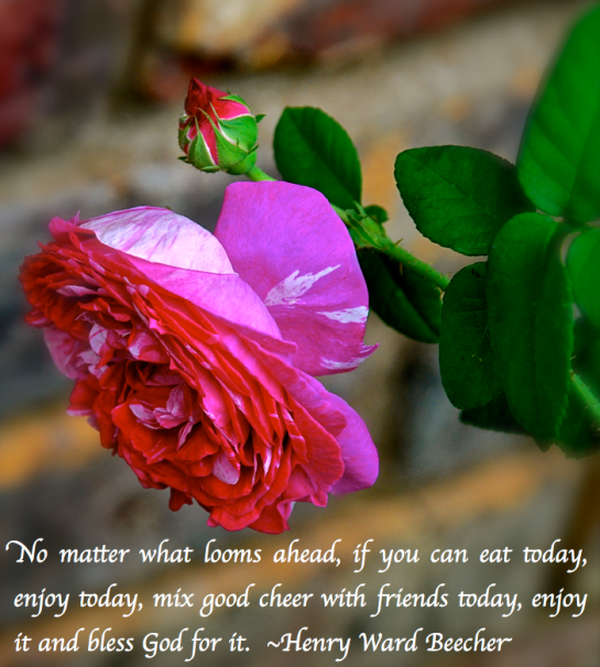 Screen Shot 2018-05-26 at 10.59.59 PM.png