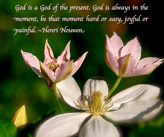 Screen Shot 2018-05-26 at 11.03.19 PM.png