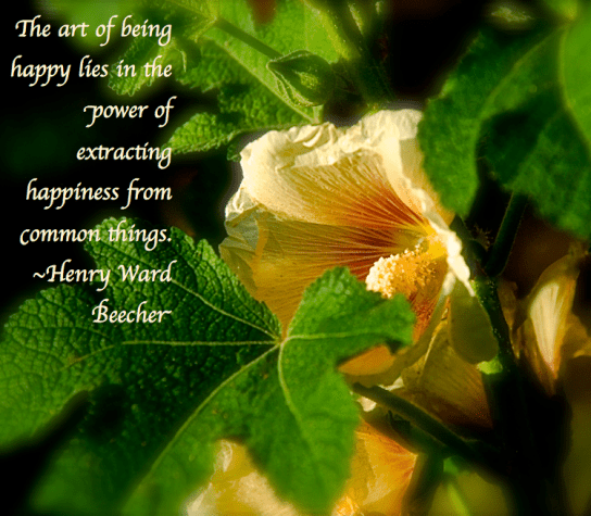 Screen Shot 2018-05-26 at 11.06.28 PM.png