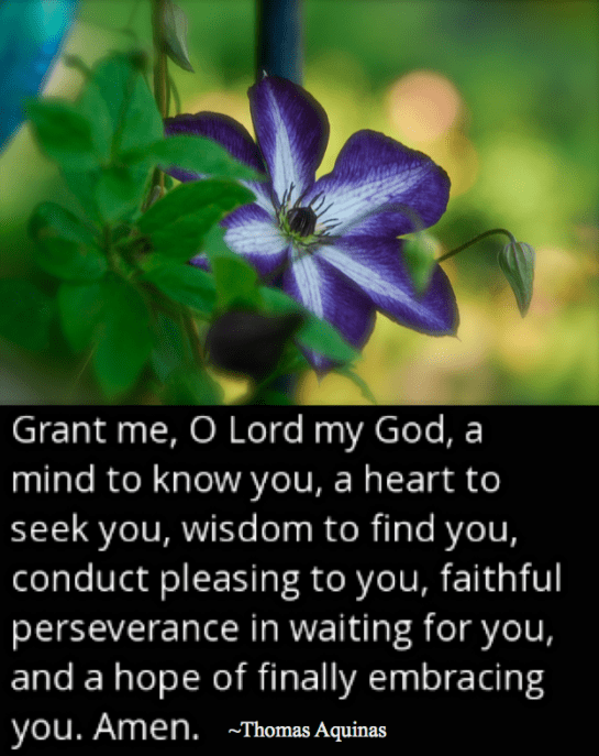 Screen Shot 2018-05-26 at 11.24.34 PM.png