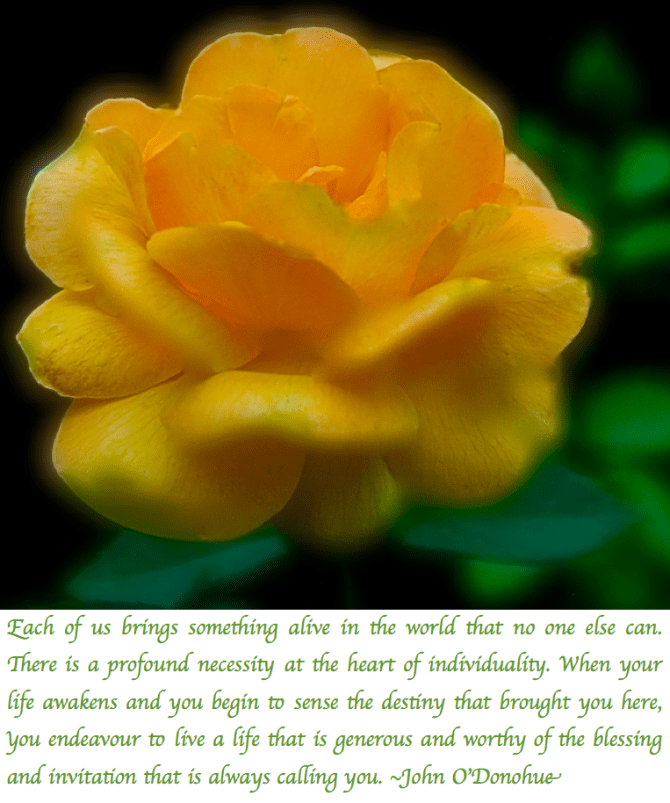 Screen Shot 2018-05-28 at 10.28.35 PM.png