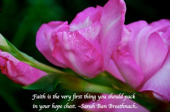 Screen Shot 2018-05-29 at 8.53.00 PM.png