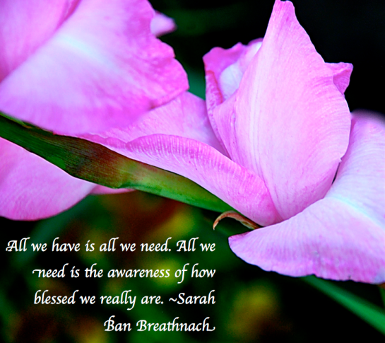 Screen Shot 2018-05-29 at 8.56.03 PM.png