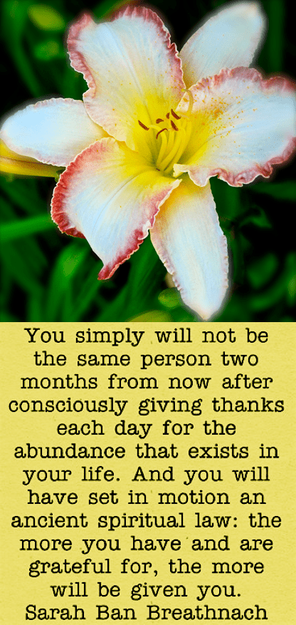 Screen Shot 2018-05-29 at 8.59.38 PM.png