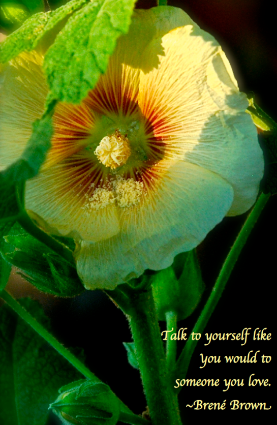 Screen Shot 2018-05-29 at 9.14.00 PM.png