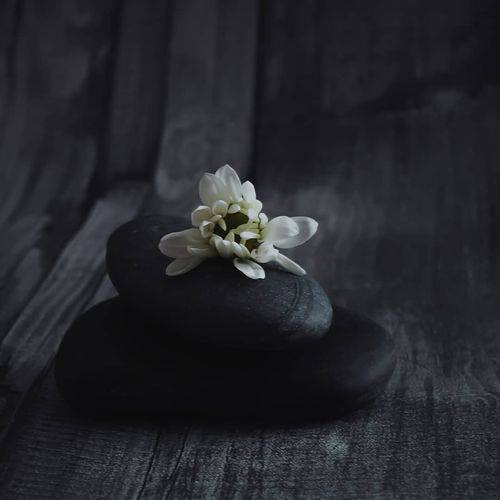 33709758_1716208495135914_797521662466588672_n