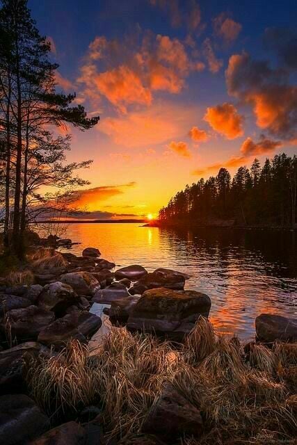 35628782_1615622288546620_3182326004739735552_n