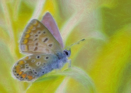 CFBEE5E4-46E0-4FF9-B582-A7956F8C3D71