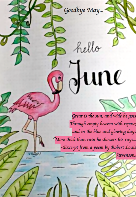 Screen Shot 2018-05-31 at 10.52.39 PM.png