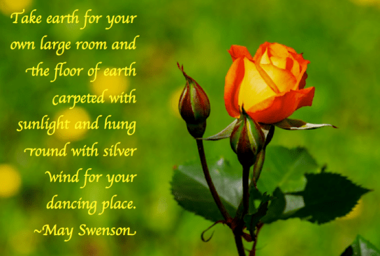 Screen Shot 2018-05-31 at 9.36.02 PM.png