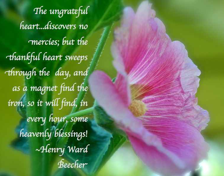 Screen Shot 2018-06-02 at 11.21.54 PM.png