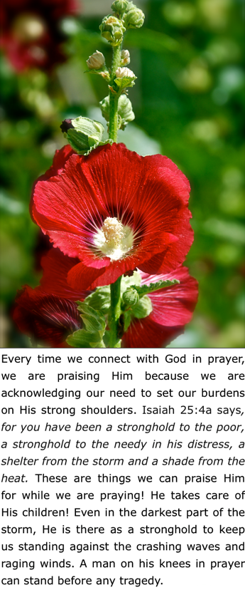 Screen Shot 2018-06-02 at 11.26.33 PM.png