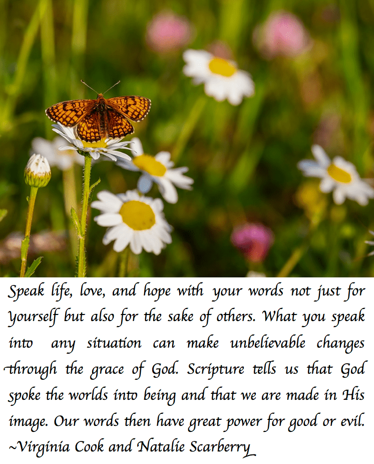 Screen Shot 2018-06-02 at 12.15.19 AM.png