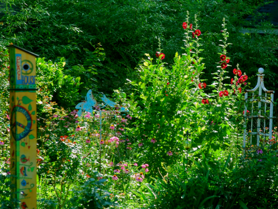 Screen Shot 2018-06-02 at 4.57.18 PM.png