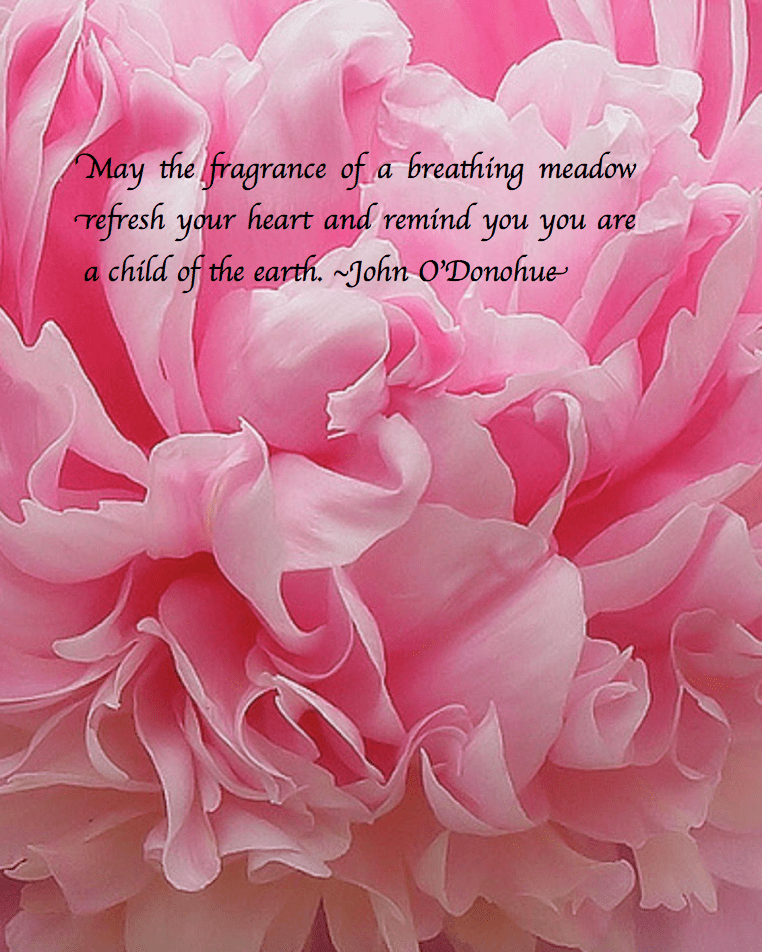 Screen Shot 2018-06-03 at 10.53.16 PM.png